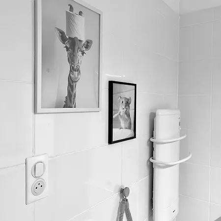 Cozy Studio, Terrace And * Тулон