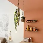 Cozy Studio, Terrace And *