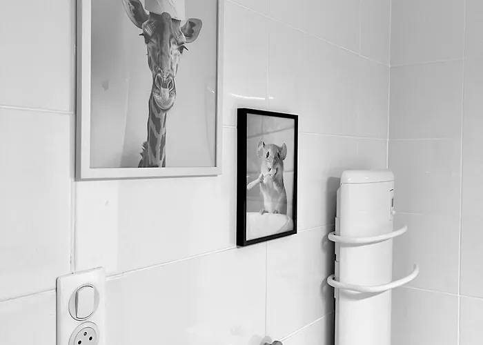 Cozy Studio, Terrace And * Tolón